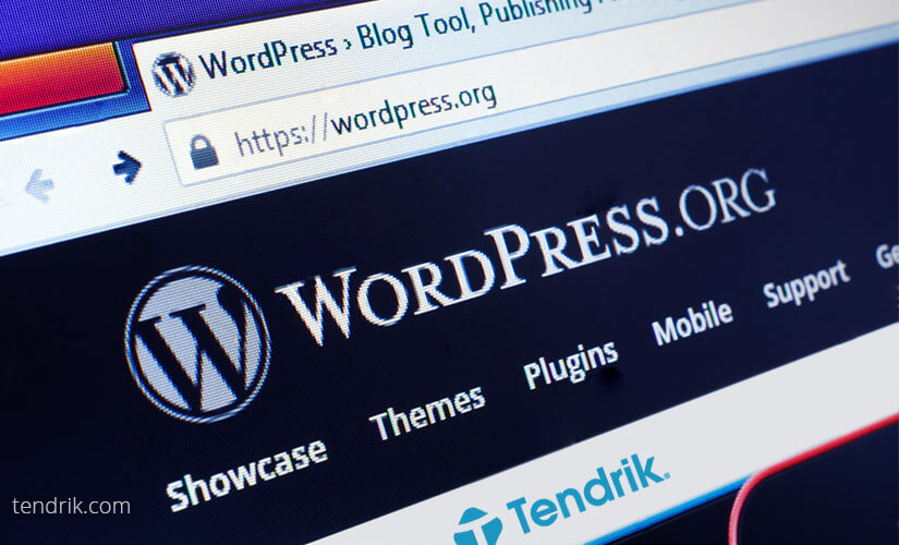 Choose WordPress For Your Blog or Website - Tendrik